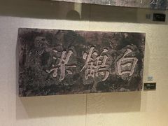 -白鹤梁水下博物馆