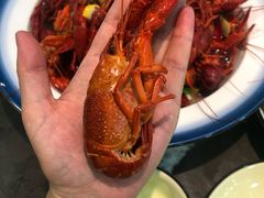 -盱眙虾神於氏龙虾(夫子庙红街店)