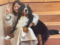 -和它·交个朋友·狗咖猫咖(爱琴海店)