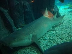 -福州罗源湾海洋世界旅游区