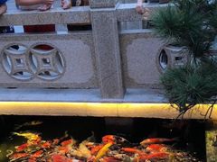 -顺德了能馆(虎门店)