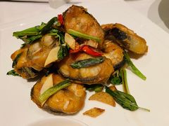金不换煎焗白鳝-博多新记·粤菜(复兴店)