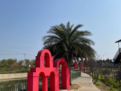 -绵阳盛世樱花悠乐谷