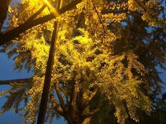 -北纬37°SPA养身会馆(湖西店)