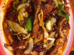 -柴窝堡22号辣子鸡·传承新疆菜