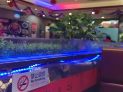-阿三鱼头泡饼·家常菜