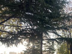 -汉长安城未央宫国家考古遗址公园