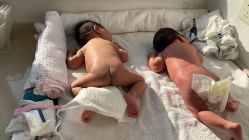 -海豚湾高端月子会所(黄浦店)