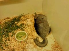 -龙猫仔乐园(惠福东路店)