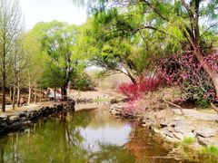 -圆明园遗址公园-藻园门售票处