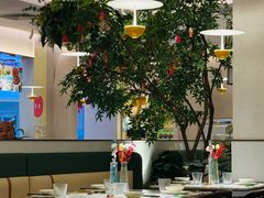 -Aqua Oasis 水天堂(太湖中心mall店)