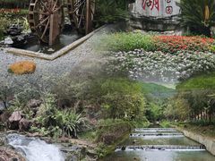 -广州白江湖森林公园