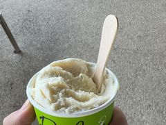 -Dooley's Premium Ice Cream