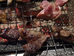 -柿子树炭烤羊腿(金台路店)