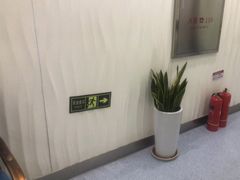 -圣贝口腔(海淀店)