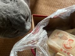 -巢娭毑月饼店(洞井路店)