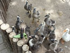 -水上乐园·欢乐世界