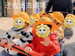 -豆初托育园 Baby Bean Day care Center