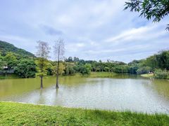 -龙头山森林公园·停车场