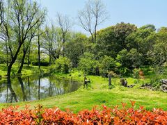 -上海共青森林公园