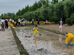 -前小桔亲子创意农场·草莓采摘·露营烧烤