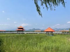 -青龙湖公园
