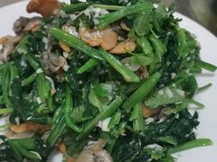 毛蚬肉拌小葱-渔公码头·九龙湾国际饭店