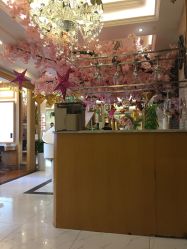 -逸丝风尚