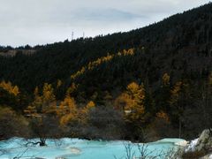 -黄龙山原始森林景区