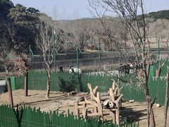 -沈阳森林动物园