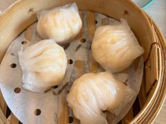 晶莹鲜虾饺-添好运点心专门店(深水埗店)