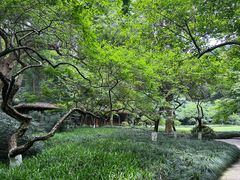 -杭州植物园