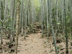 -鸡枕山