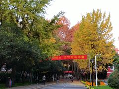 -南京特殊教育师范学院(燕子矶校区)