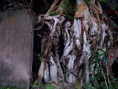 -黄龙溪古镇-古龙寺