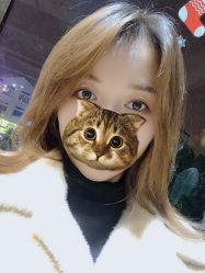 -蚂蚁造型沙龙