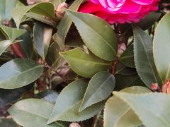 -香满堂川湘菜烤鱼(龙茗路店)