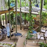 森林中的休闲时光