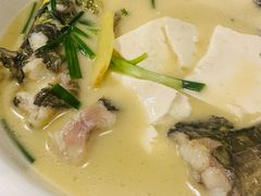 白汤黄刺鱼炖豆腐-丰乐餐厅·始于1999·本地老字号