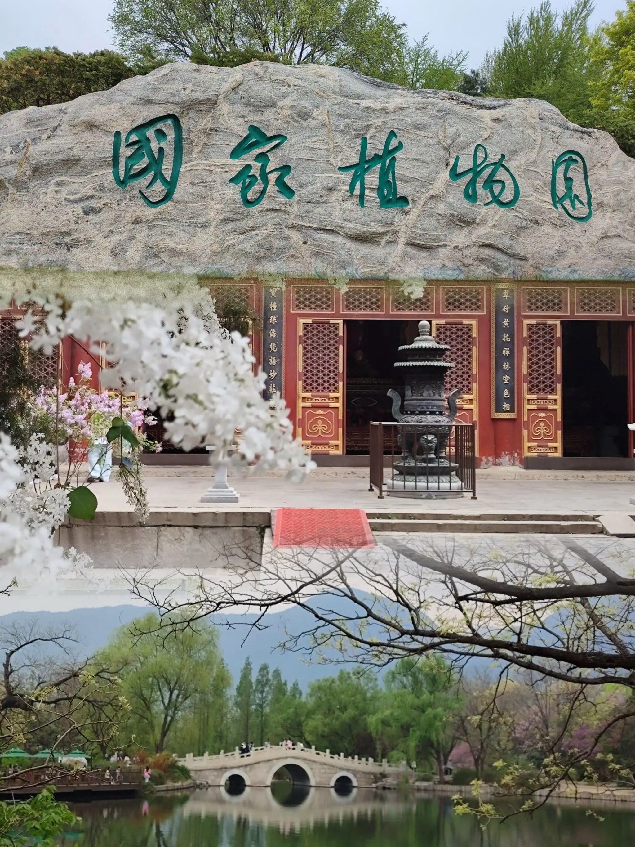 打卡北京小众景点|北京植物园