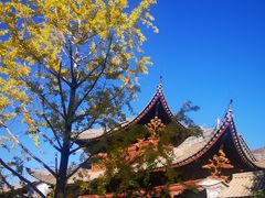 -巍山古城