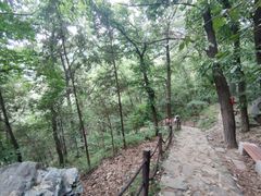 -阳台山自然风景区