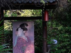 -河源客天下-温泉小镇