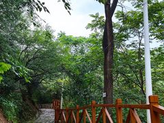 -大岭沟猕猴桃谷风景区