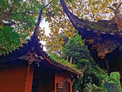 -都江堰景区