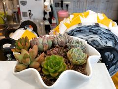 -7分甜(观前碧凤坊店)