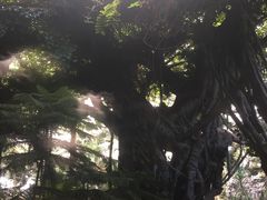 -龙达温泉生态城