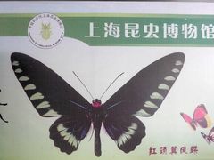 -上海昆虫博物馆