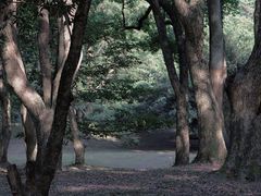 -杭州半山国家森林公园