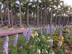 -深圳国际园林花卉博览园